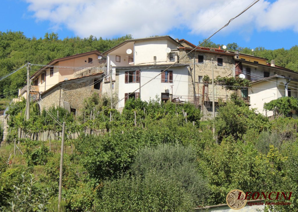 Vendita Rustico in Centro Storico Bagnone - Casa nel borgo Località Treschietto