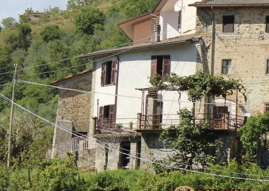 Sale Stonehouses in Historic Center Bagnone - House in the village Locality 