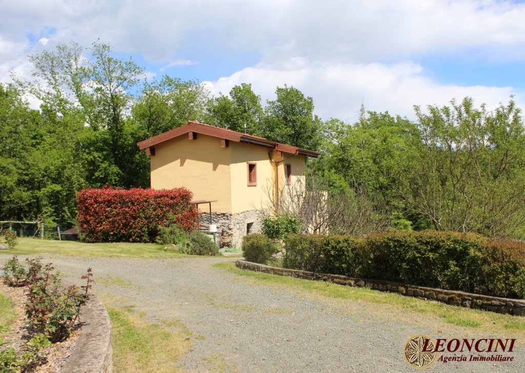Sale Cottages and Stonehouses Villafranca in Lunigiana - P104 farmhouse with land Locality 