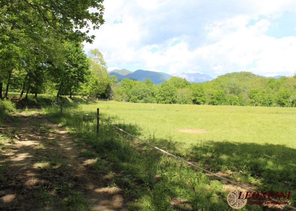 Sale Cottages and Stonehouses Villafranca in Lunigiana - P104 farmhouse with land Locality 