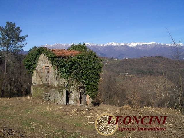 Rustico - Cascina TRESANA vendita  Popetto  Agenzia Immobiliare Leoncini