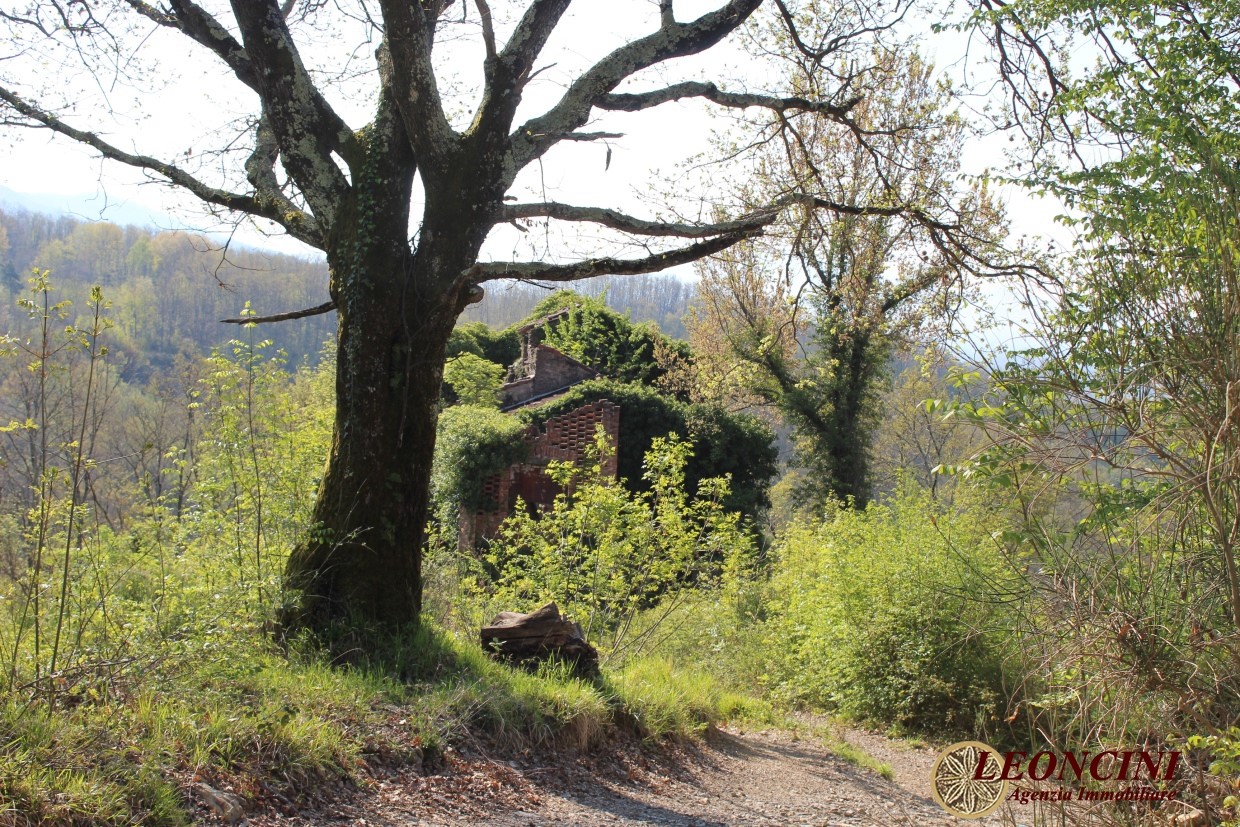 Rustico/Casale/Corte Villafranca in Lunigiana MS1356870