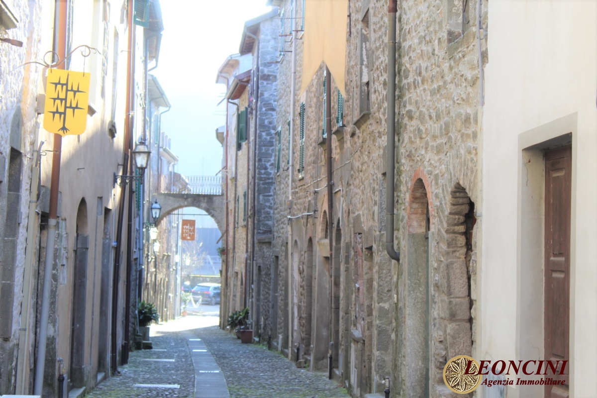 Rustico/Casale/Corte Villafranca in Lunigiana MS1360053